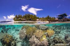 Arborek sziget
Tukor viz, tokeletes korulmenyek, mar a viz felett latni a korallokat.