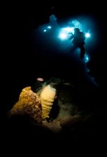 Szivacs
A Claudia reef egyik hasadékának mélyén videós ereszkedik egy szivacs mellé. A kép snootokkal készült, NEM multiexpo. Vörös-tenger, Egyiptom.